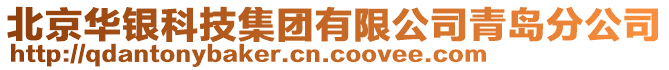 北京華銀科技集團(tuán)有限公司青島分公司