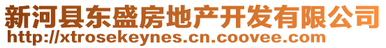 新河縣東盛房地產(chǎn)開(kāi)發(fā)有限公司