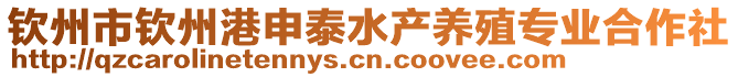 欽州市欽州港申泰水產養殖專業合作社