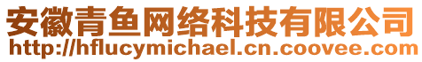 安徽青魚網(wǎng)絡(luò)科技有限公司