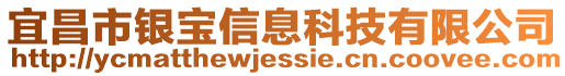 宜昌市銀寶信息科技有限公司