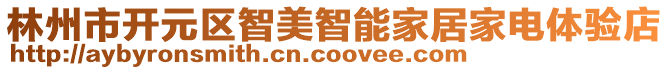 林州市開元區(qū)智美智能家居家電體驗(yàn)店