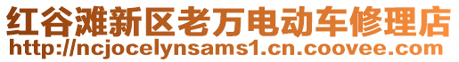 紅谷灘新區(qū)老萬電動車修理店