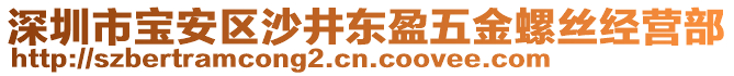 深圳市寶安區(qū)沙井東盈五金螺絲經(jīng)營部