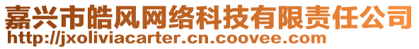 嘉興市皓風(fēng)網(wǎng)絡(luò)科技有限責(zé)任公司