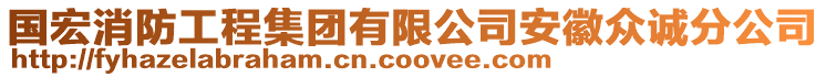 國(guó)宏消防工程集團(tuán)有限公司安徽眾誠(chéng)分公司