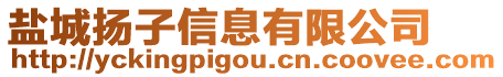 鹽城揚子信息有限公司