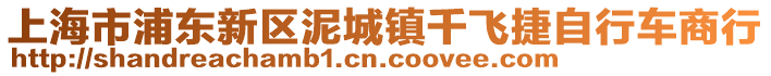 上海市浦東新區(qū)泥城鎮(zhèn)千飛捷自行車(chē)商行