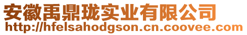 安徽禹鼎瓏實業(yè)有限公司