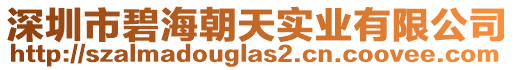 深圳市碧海朝天實(shí)業(yè)有限公司
