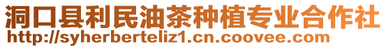 洞口縣利民油茶種植專業(yè)合作社