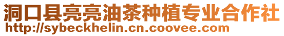 洞口縣亮亮油茶種植專業合作社