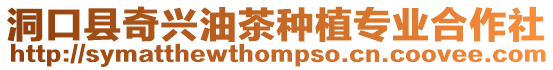 洞口縣奇興油茶種植專業(yè)合作社