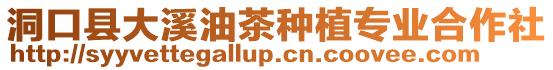 洞口縣大溪油茶種植專業合作社