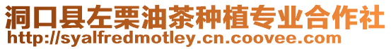 洞口縣左栗油茶種植專業(yè)合作社