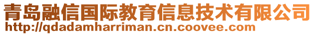 青島融信國際教育信息技術(shù)有限公司