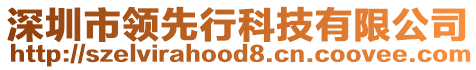 深圳市領(lǐng)先行科技有限公司