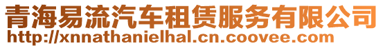 青海易流汽車租賃服務有限公司