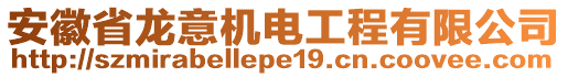 安徽省龍意機電工程有限公司