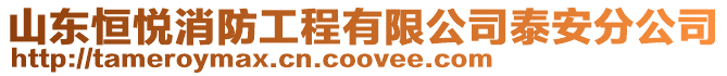 山東恒悅消防工程有限公司泰安分公司