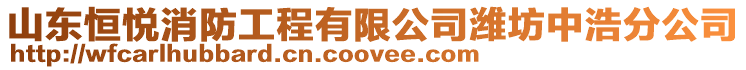 山東恒悅消防工程有限公司濰坊中浩分公司