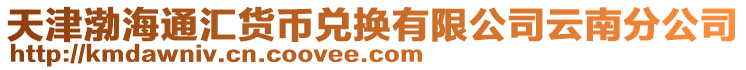 天津渤海通汇货币兑换有限公司云南分公司