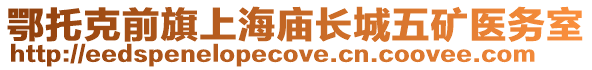 鄂托克前旗上海廟長城五礦醫務室