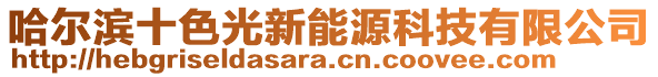 哈爾濱十色光新能源科技有限公司