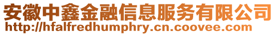 安徽中鑫金融信息服務(wù)有限公司