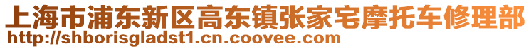 上海市浦東新區(qū)高東鎮(zhèn)張家宅摩托車修理部
