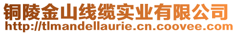 銅陵金山線纜實業(yè)有限公司