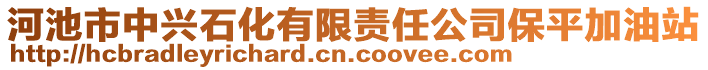 河池市中興石化有限責(zé)任公司保平加油站