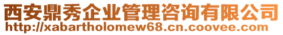 西安鼎秀企業(yè)管理咨詢有限公司