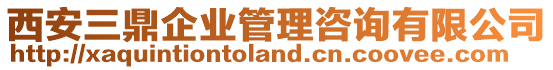 西安三鼎企業(yè)管理咨詢有限公司