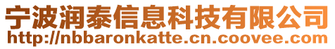 寧波潤泰信息科技有限公司