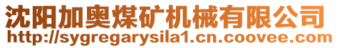 沈陽加奧煤礦機械有限公司