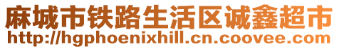麻城市鐵路生活區誠鑫超市