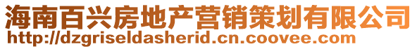 海南百興房地產營銷策劃有限公司