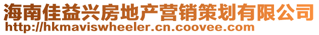 海南佳益興房地產營銷策劃有限公司