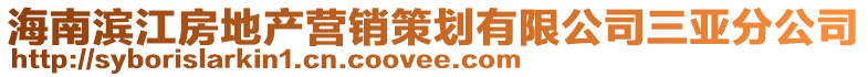 海南濱江房地產(chǎn)營銷策劃有限公司三亞分公司