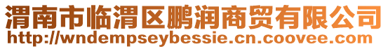 渭南市臨渭區鵬潤商貿有限公司