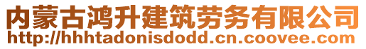 內(nèi)蒙古鴻升建筑勞務(wù)有限公司