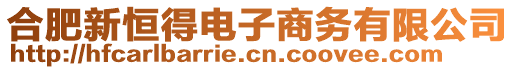 合肥新恒得電子商務(wù)有限公司