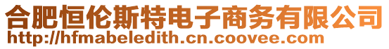 合肥恒倫斯特電子商務(wù)有限公司