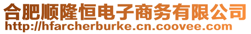 合肥順隆恒電子商務有限公司