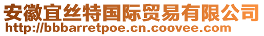 安徽宜絲特國際貿易有限公司