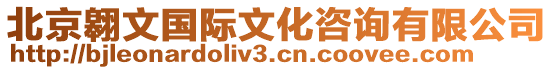 北京翱文國際文化咨詢有限公司