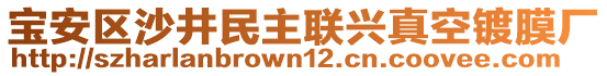 寶安區(qū)沙井民主聯(lián)興真空鍍膜廠