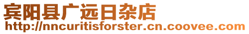 賓陽縣廣遠日雜店
