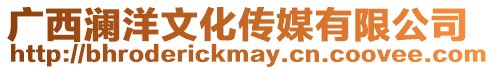 廣西瀾洋文化傳媒有限公司